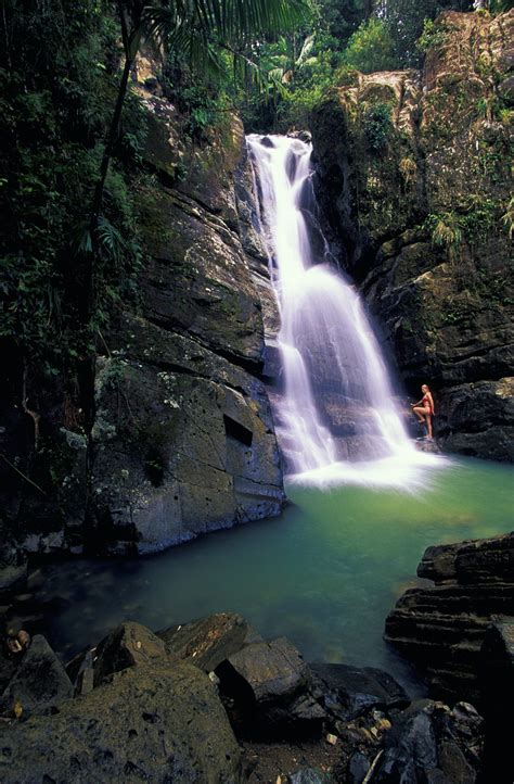 El Yunque Travel Puerto Rico Lonely Planet