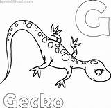 Coloring Gecko Pages Printable Sheets Choose Board sketch template