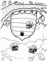 Bienen Bijen Kleurplaten Bijenkorf Dieren Insect Bienenstock Abejas Honig Abeille Biene Bumblebee Malvorlage Käfer Vorlagen Malen Jandigitaal Animaatjes Miel Ausmalbild sketch template
