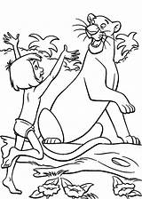 Dschungelbuch Bagheera Mowgli Ausmalbild Kaa Masks Mogli Ausmalen Coloringhome Dschungel Raskrasil Baloo Shere Zeichnungen доску выбрать Ferienprogramm Buntstifte Panther sketch template