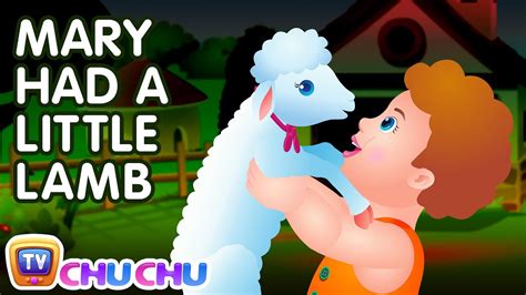 mary    lamb nursery rhyme  lyrics cartoon animation