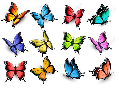 Colección De Mariposas De Colores Volando En Diferentes Direcciones
