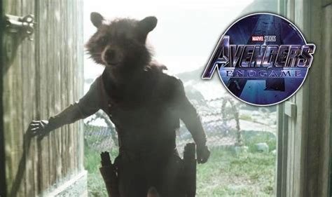 avengers endgame star teases rocket raccoon s role in
