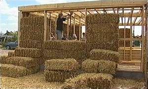 bbc news uk straw house popularity grows