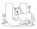 Alphabet Letter Printable Unicorn Coloring Animal sketch template