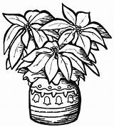 Poinsettia Coloring Pottery National Nice Kids Color Netart sketch template