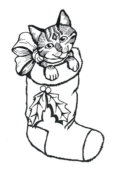 cat coloring pages    clipartmag