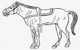 Caballos Cabezas Standardbred Peruvian Nicepng sketch template