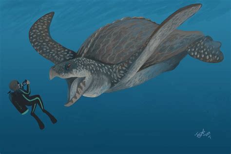 largest leatherback sea turtle