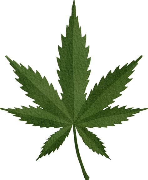 marijuana leaf pngs