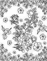 Erwachsene Coloriages Roses Adulte Kleurplaten Volwassenen Adulti Adultes Ausmalen Rosen Narzissen Print Narcisses Kostenlose Voor Murakami Buch Daffodils Erwachsenen Fur sketch template