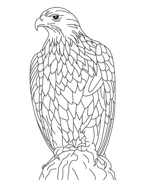 cartoon eagle coloring pages  getcoloringscom  printable