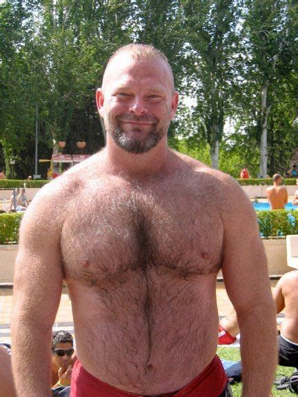 hairy bear men beards going grey bear men hairy chest hairy men e bear men