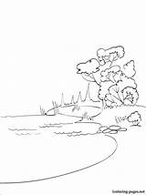 Lac Printable Naturaleza Habitats Coloriages Drawing Colorier Designlooter sketch template
