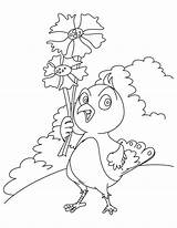 Birdy Cornflower Coloring sketch template