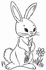 Bunny Coloring Pages Easter Vintage Embroidery Friends Animal Colouring Books Album Archive Choose Board sketch template