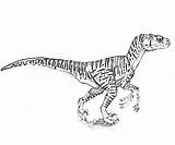 Jurassic Velociraptor Raptor Getcolorings sketch template