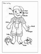 Body Coloring Pages Human Parts Outline Preschoolers Library Clipart sketch template