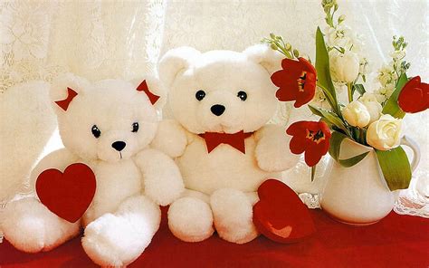 valentines day bears wallpapers top  valentines day bears