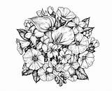 Drawing Coloring Flower Pages sketch template