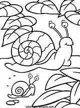 Escargot Maternelle Magique Caracoles Colorear Escargots Encequiconcerne Snail Coloriages épinglé Greatestcoloringbook Collecti Enfants Vivant Dessiner Top18 Userrank sketch template