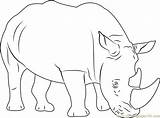 Rhino Rhinoceros Coloringpages101 sketch template