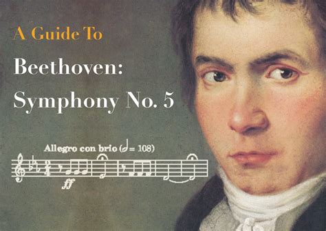 beethoven symphony    beginners guide