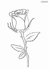 Malvorlage Stiel Rosen Malvorlagen Blume Natur Frühling Sonnenblume Rote Stalk Regenbogen sketch template