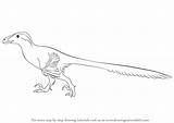 Deinonychus Draw Drawing Step Dinosaurs Tutorials Drawingtutorials101 sketch template