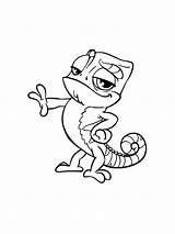 Chameleon Coloring Pages Printable sketch template