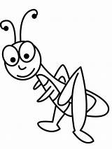 Saltamontes Grasshopper Konik Polny Sprinkhaan Kolorowanka Leukekleurplaten Kolorowanki Dibujosparaimprimir Coloringpage Insecten Insectos Ladnekolorowanki sketch template