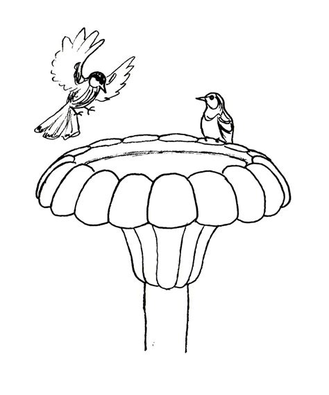 bird bath pages coloring pages