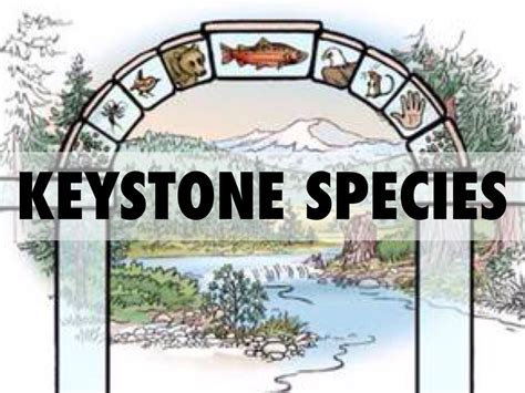 keystone species