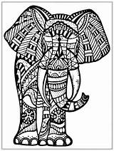 Elephant Coloring Pages Adults Getcolorings sketch template