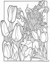 Spring Coloring Pages Garden Nature Season Flowers Colouring Flower Printable Book Para Colorear Dover Adult Color Print Tulips Adults Publications sketch template