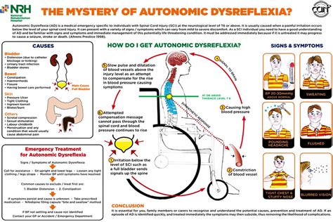 autonomic dysreflexia  signs symptoms diagnosis  treatment