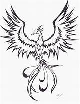 Phoenix Drawing Drawings Bird Coloring Tattoo Line Rising Tattoos Simple Tribal Realistic Pages Ashes Outline Dessin Deviantart Easy Draw Tatouage sketch template