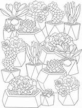 Coloring Pages Succulents Colorear Para Succulent Cactus Doverpublications Adult Color Dover Plants Dibujos Stamping Flower Suculentas Cute Mandalas Craftgossip Printable sketch template
