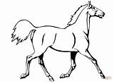 Horse Coloring Pages Trotting Imagenes Silhouettes Running sketch template