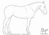 Horse Coloring Quarter Pages Friesian Drawing Head Line Printable Color Drawings Getcolorings Lines Print Getdrawings Colori Popular sketch template