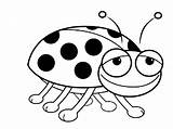 Bug Coloring Lady Pages Vw Drawing Clipart Smiling Color Getcolorings Library Getdrawings sketch template