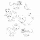 Surfnetkids Coloring Animals Kitten Cat Previous sketch template