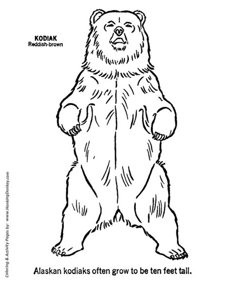 wild animal coloring pages kodiak bear standing  coloring page