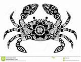 Crab Zentangle Granchio Tatuaggio Ecc Camicia Disegnato Progettazione Cangrejo Ornated Bonny Zodiaco Tattooimages Depositphotos sketch template