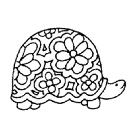 turtle  flowery shell coloring pages surfnetkids