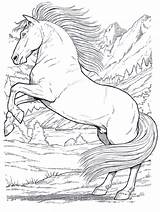 Pferde Ausmalen Ostwind Pferd Erwachsene Für Wildpferde 1ausmalbilder sketch template