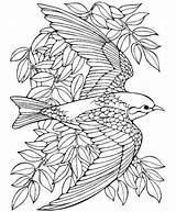 Coloring Mandala Bird Pages Visit Printed sketch template