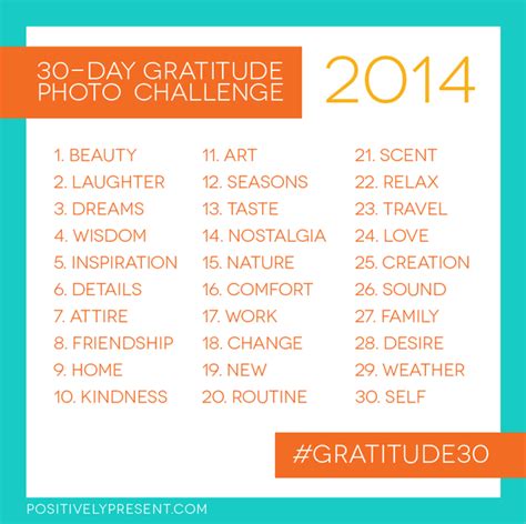 day gratitude photo challenge  edition positively present