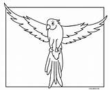 Parrot Coloring Printable Sheets Template Cool2bkids Fish Macaw Templates sketch template