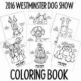 Pages Shorthaired Pointer German Coloring Getcolorings Angry sketch template
